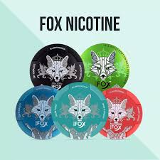 Fox Nicotine Pouches Dubai, Abu Dhabi, UAE.