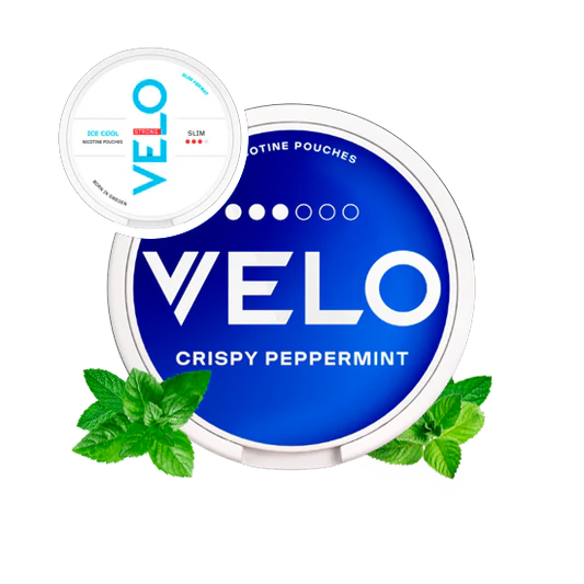 Velo Crispy Peppermint in Dubai, Abu Dhabi, UAE